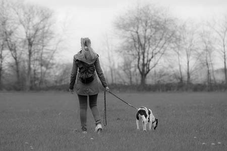 dog on leash