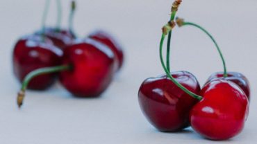 Can Dogs Eat Bing Cherries?